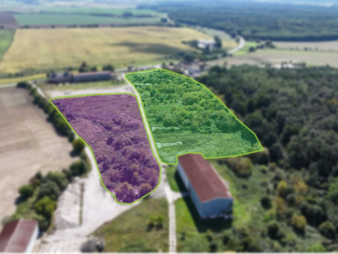 Pozemky na okraji mesta Senica